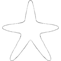 Seashell & Starfish Outline
