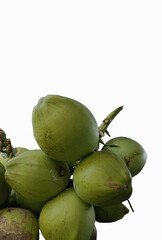 Close-up of fresh green coconuts