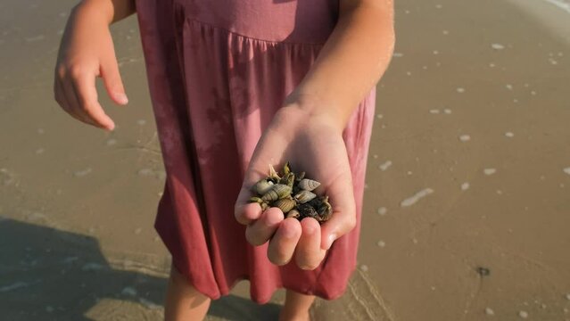 Little girl holding hermit crabs in hand on the beach. Happy childhood and family vacation concept