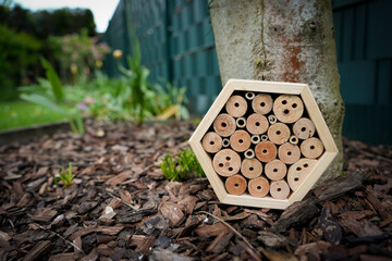 Insect hotel