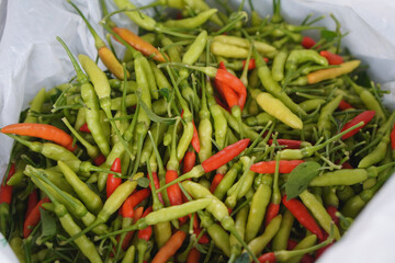 closeup fresh green and red chilli peppers in white plastic bag background, food, vegetable, nature, copy space