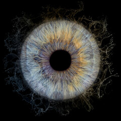 Blue human iris on black background