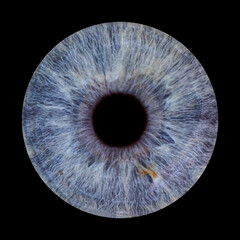 Human blue iris. Macro pupil on black background 
