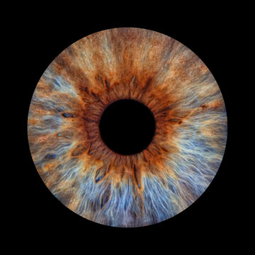 Brown and blue human iris on black background. Bright yellow pupul closeup