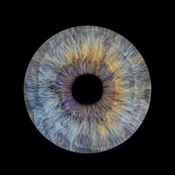 Human pupil on black background. Blue iris