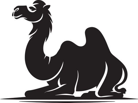 Arabian Camel -Targui camel -kharai camel silhoutte -Majaheem camel vactor image 