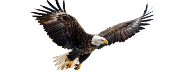 The image shows a bald eagle flying with its wings spread wide. The eagle is soaring through the air with a determined look in its eyes. The background is a dark sky with clouds.