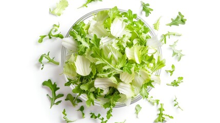 Organic endive frisee chicory salad, freshly picked look, photographed from above, isolated with raw photography aesthetics under studio lighting