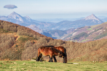 Beauiful view from Pin-Pil mountain Aizkorri-Aratz natural park in the Basque Country (Spain)