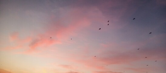 Evening sky