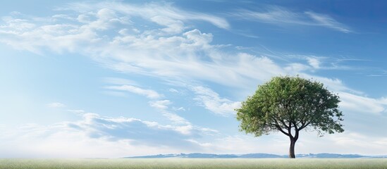 Copy space image of a tree against a serene sky backdrop