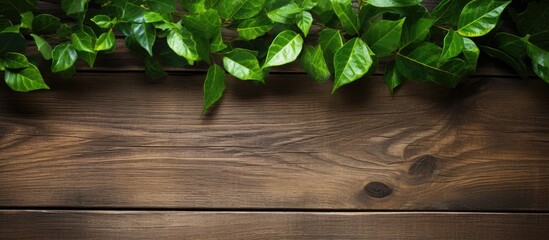 A top down view of lush green leaves on a rustic wooden background providing ample space for additional images or text