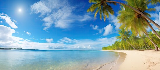 A sunny tropical paradise beach with coconut trees and a clear blue sky dotted with clouds The panoramic view showcases the summer tropical landscape creating a perfect backdrop for travel and touris