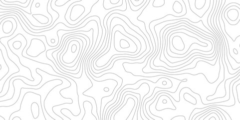 White topology topography vector abstract background map texture