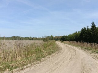 Road in forest in Siauliai county during sunny summer day. Oak and birch tree woodland. Sunny day with white clouds in blue sky. Bushes are growing in woods. Sandy road. Nature. Miskas.