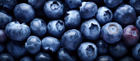 Close up macro texture background of fresh blueberries perfect for vegan and vegetarian concepts Ample copy space is available for your text
