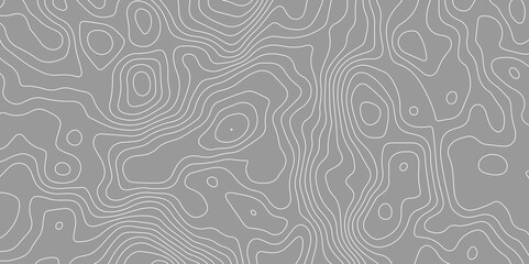Gray topology,topography vector design abstract map texture wooden design
