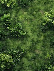 An aerial view of a large patch of some freshly cut, healthy, green grass10Image is ready to be tiled to create a much larger image or higher resolution background