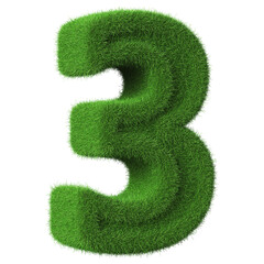 3d grass green number 3
