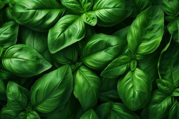 Vibrant Basil leaves background. Salad macro. Generate Ai