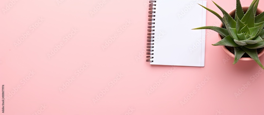 Poster top view of a pink background with a blank notebook featuring a spiral a pen a pot of aloe vera and 