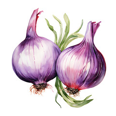Digital technology onion watercolor design illustration