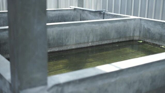 view of the fish hatchery pond. cement pond for baby fish