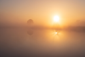 Dutch countryside during a foggy and tranquil sunrise.