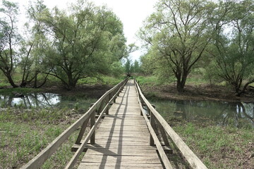 Fototapeta premium Jaegerbruecke im Naturschutzgebiet Biedensand