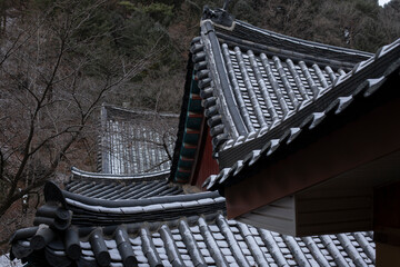Roof of traditional Korean houses, Korean ancient architecture, snow, trees, and Korean-style houses