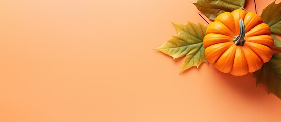 Top view copy space image of a pumpkin and leaf creatively arranged on a dual tone white and orange background capturing the essence of an autumn themed flat lay