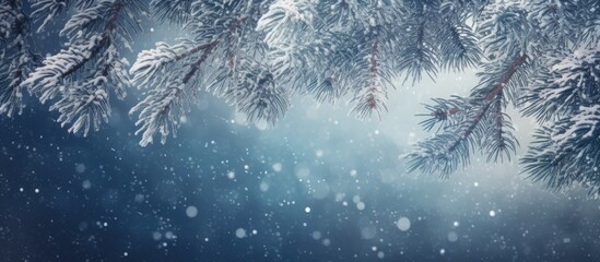 Snow falling gently on the branches of a pine tree creates a peaceful winter scene with plenty of empty space for text or other elements. Copy space image. Place for adding text and design