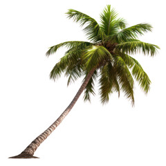  Looking for a tropical oasis? With crystal clear waters and palm trees swaying in the breeze, this is the perfect destination for your next vacation.
