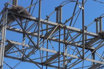 Bird nest on power lines on a sunny day