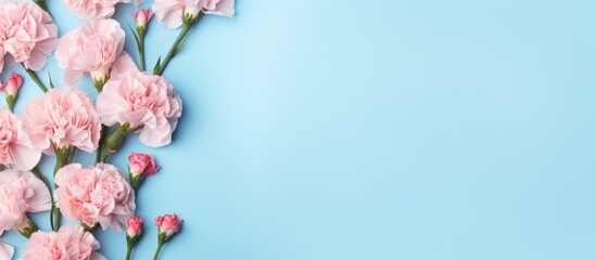 A pastel blue background with a frame of pink carnation flowers perfect for Mother s Day The image provides a copy space for text in a top down view