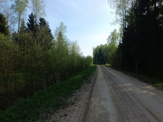 Road in forest in Siauliai county during sunny summer day. Oak and birch tree woodland. Sunny day with white clouds in blue sky. Bushes are growing in woods. Sandy road. Nature. Miskas.