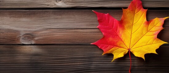 Obraz premium A handmade maple leaf crafted from yellow and red paper stands out against a rustic wooden background symbolizing the arrival of autumn It is a representation of children s DIY crafts and welcomes th