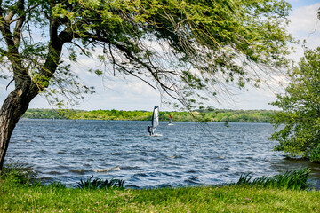 Windsurfer at full speed on Lake Soustons in the southwest of France