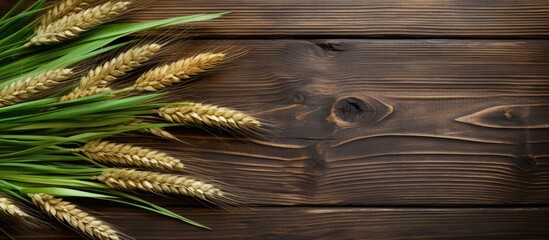 Naklejka premium Copy space image of green rye ears placed on a wooden background with a harvest of grains displayed on the table creating a flat lay composition This concept image can be used for various purposes