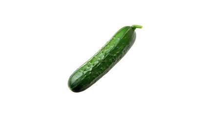 This is an image of a cucumber. It is dark green in color and has a slightly bumpy surface. It is about 12 inches long and 2 inches wide.