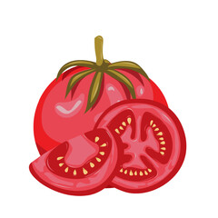 Fresh red tomato and slice tomatoes.Organic food. Applicable for ketchup, juice advertising.  Can be used for menu, packaging, textiles. Vector illustration