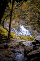 the waterfall on the mountain with yellow leaves effect