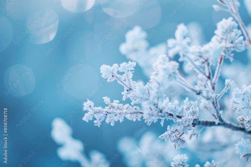 Poster a close-up shot capturing the intricate details of ice crystals formed on a delicate frosted branch