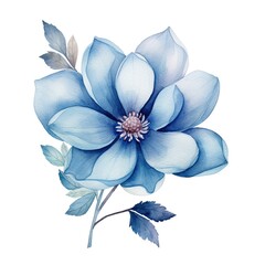 A blue flower watercolor illustration single element on white background