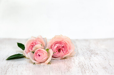 Bouquet pink flowers roses on a white wooden table on light background with space for text