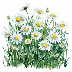 Watercolor painting of a whimsical wildflower meadow alive with color and movement, on isolated white background, Generative AI
