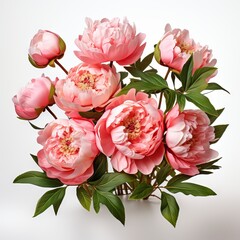 A beautiful bouquet of pink peonies.