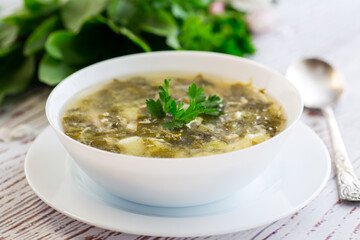 cooked green borscht from sorrel in a plate