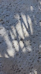 tracks in sand