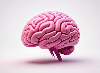 Pink brain in 3d style on a light background	
